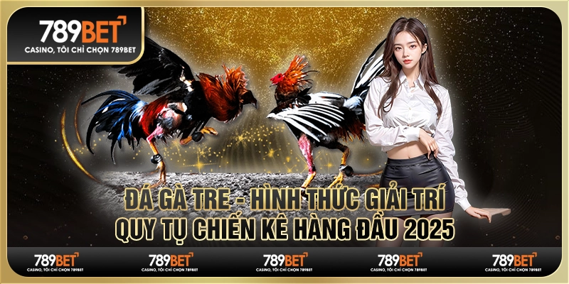 Đá gà tre - Hình thức giải trí quy tụ chiến kê hàng đầu