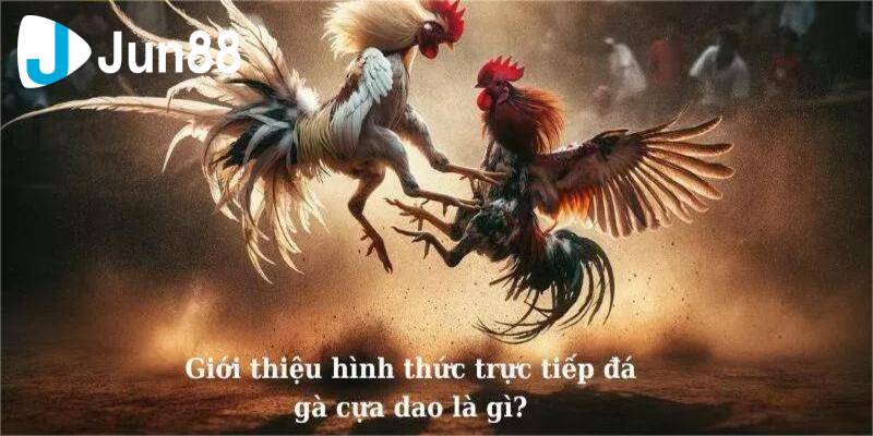 Da ga cuc dao 1 1