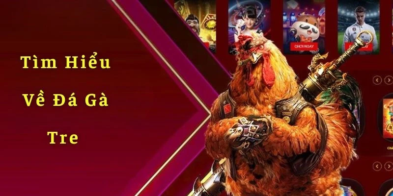 Đá gà tre - Hình thức giải trí quy tụ chiến kê hàng đầu 2 Đá gà tre cực thu hút tín đồ sư kê cả mới và cũ