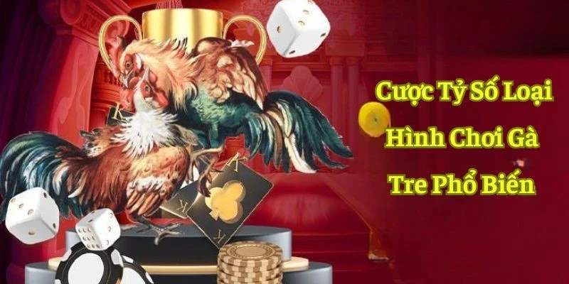 Đá gà tre - Hình thức giải trí quy tụ chiến kê hàng đầu 3 Top 3 cửa cược thông dụng khi chơi đá gà tre